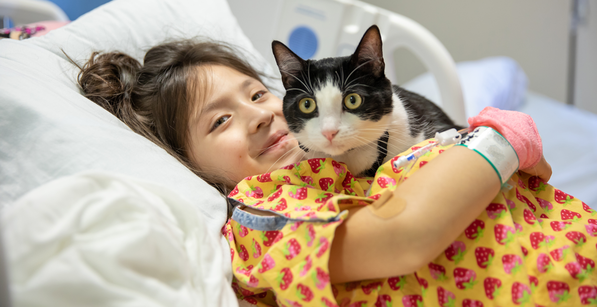 Calming Cuddles with Harry the Therapy Cat