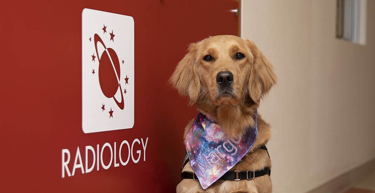 Meet Margo – Our Facility Dog