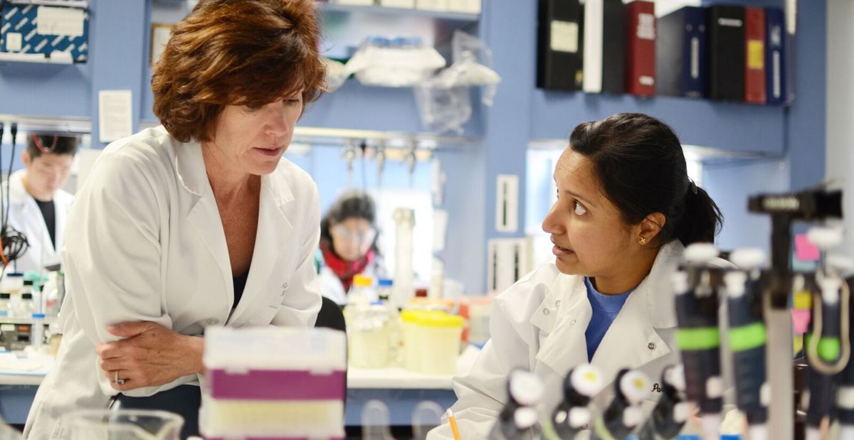 Two doctors discussing scoliosis research in a lab at Texas Scottish Rite Hospital for Children